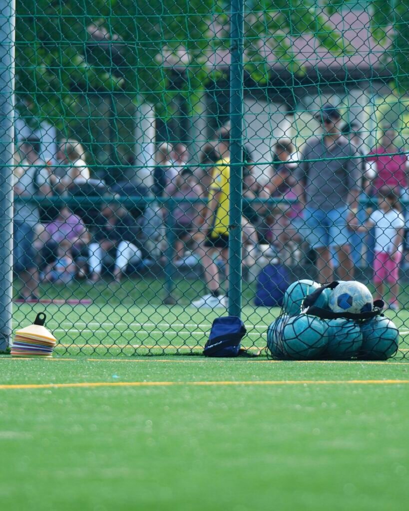 regolamento campi sportivi officina polisportiva quinto