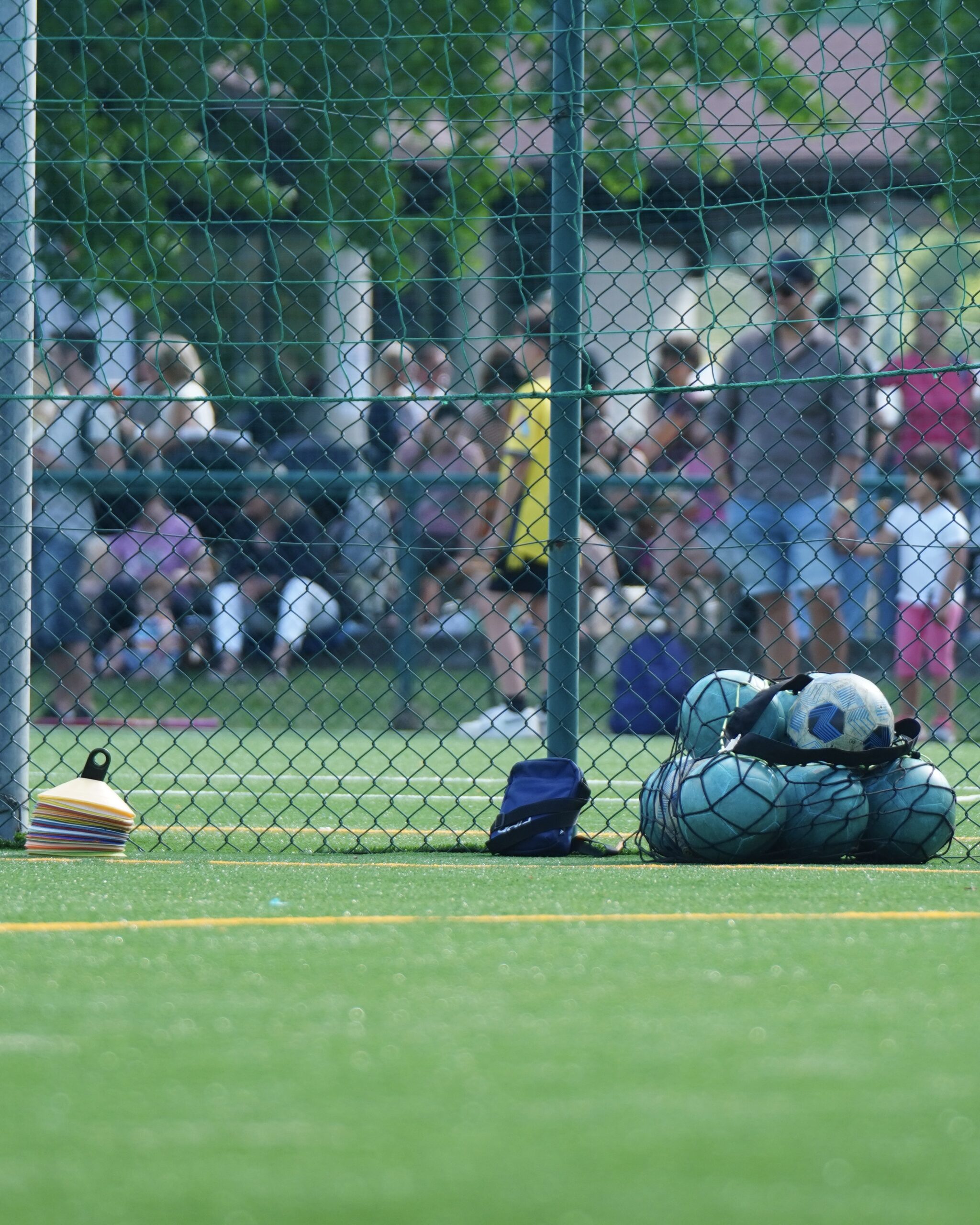 regolamento campi sportivi officina polisportiva quinto